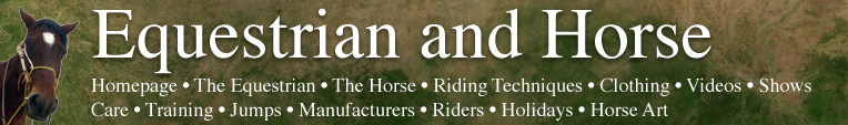 Equestrian and Horse Header