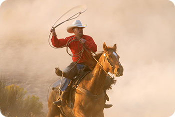 Quarter Horse 